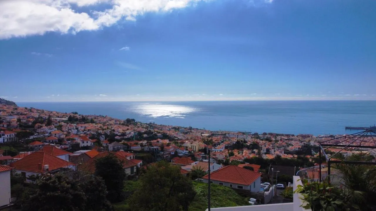 Paradise Palms By Lovelystay Funchal  Villa